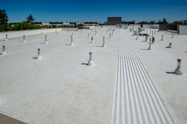 Roof Coating Services in Lusk, WY